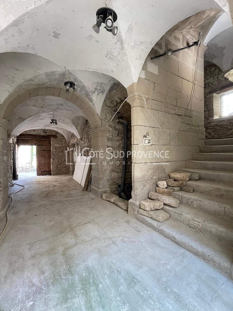 PROPRIÉTÉ SEIGNEURIALE A RÉNOVER